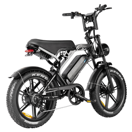 Fatbike V20 Pro Zwart