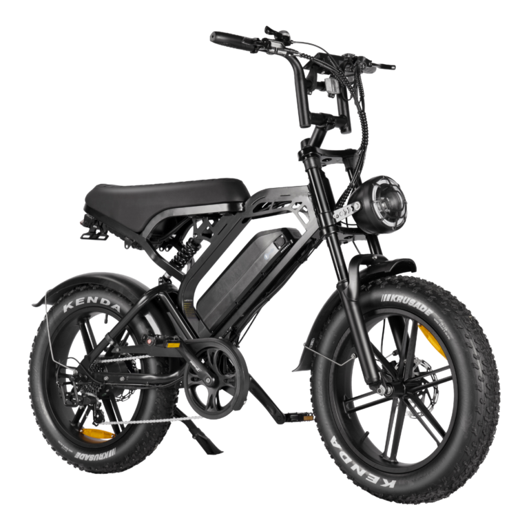 Fatbike V20 Pro Zwart