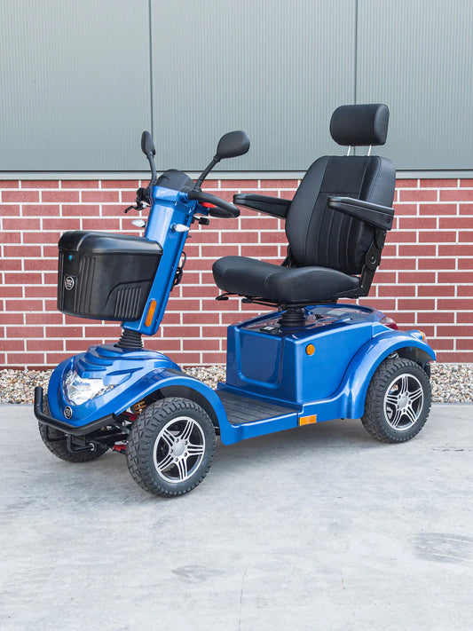 TTZ Danée Electric (20 km/u) Zwart