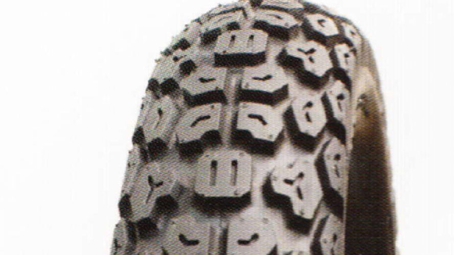 Buitenband 17-2.75 Fortune Trail F228