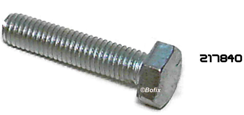 BOUT ZESKANTE KOP M8x10 mm (P.25)