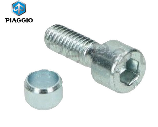 Inbusbout OEM M6x17 | Piaggio / Vespa